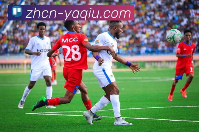 世界杯押球平台生态图