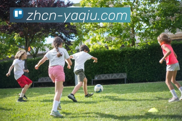 世界杯押球全站App